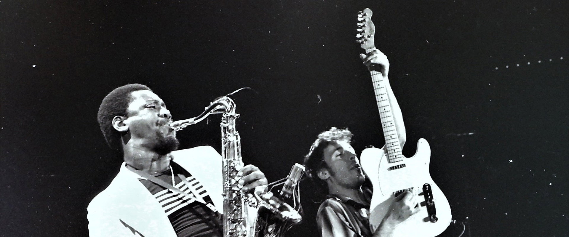 Bruce Springsteen & the E Street Band Houston '78 Bootleg: House Cut backdrop