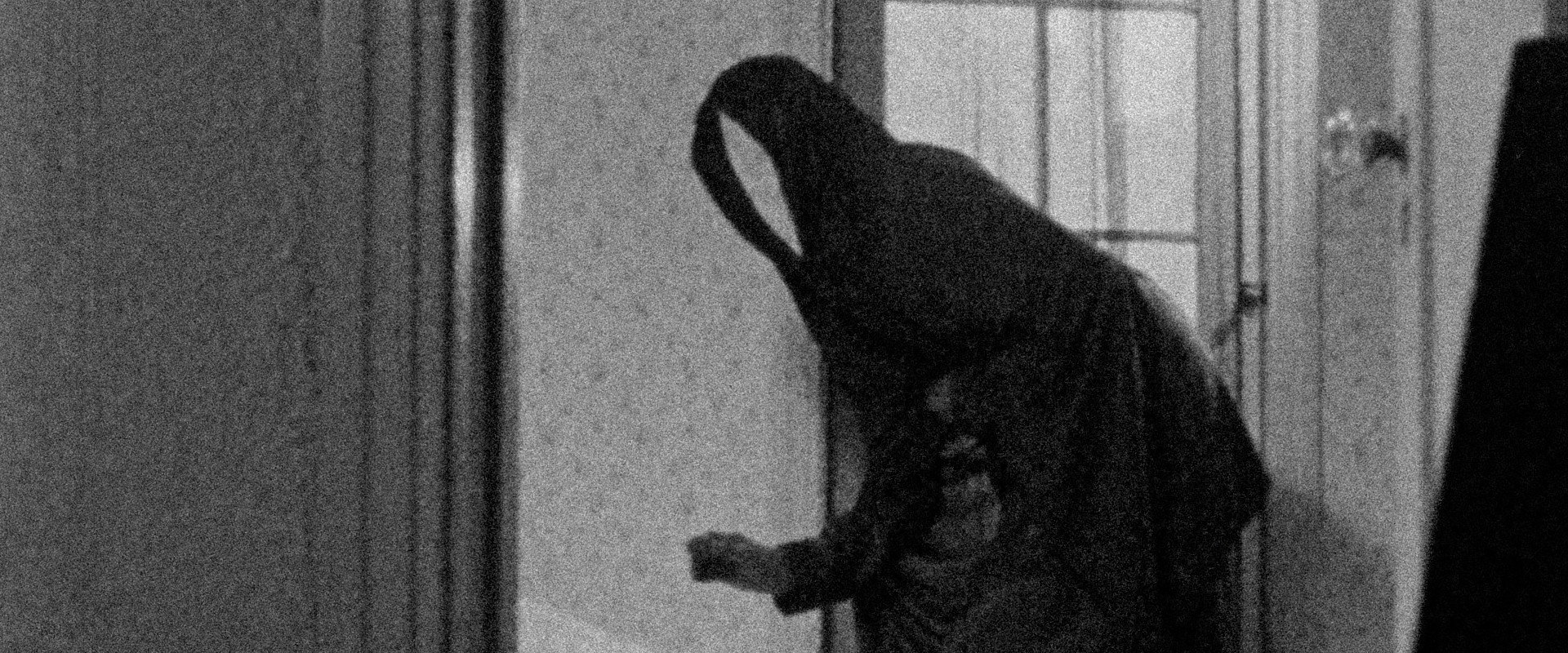 Meshes of the Afternoon backdrop