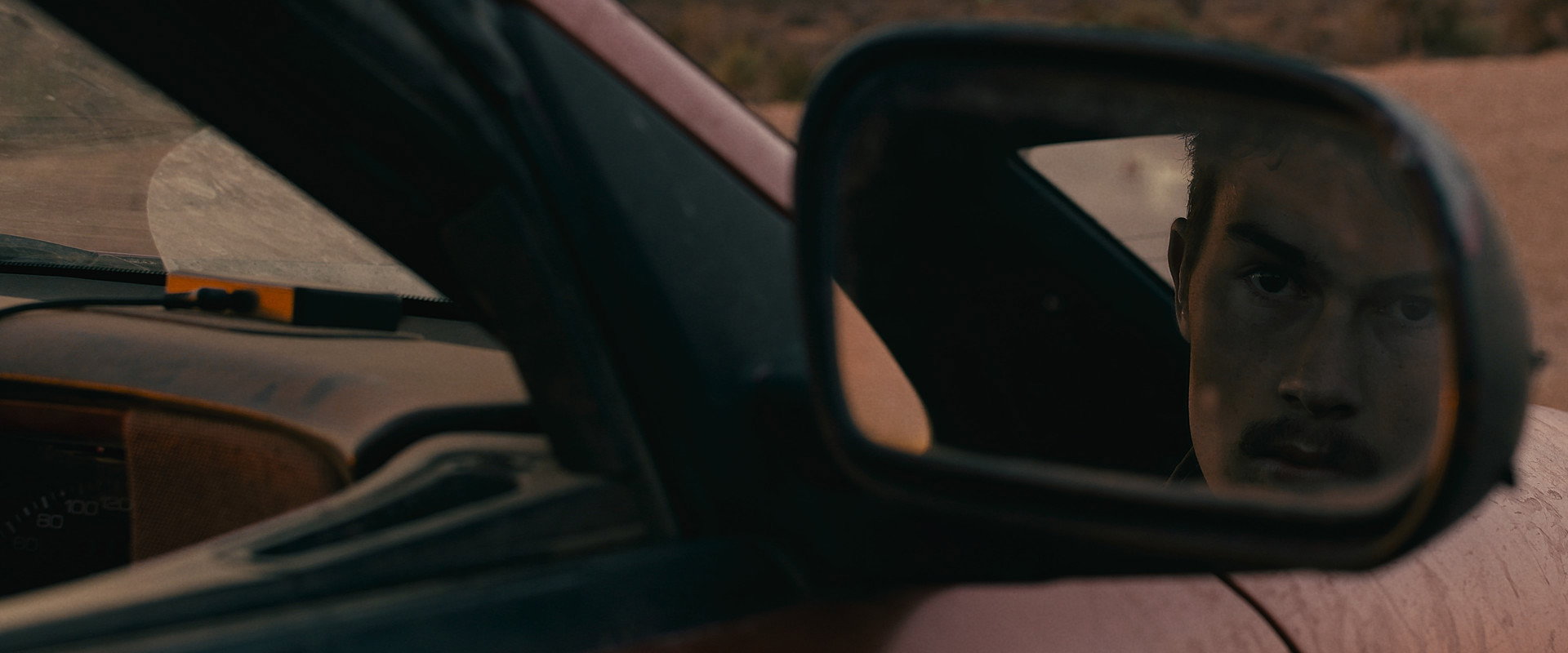 Roadkill backdrop