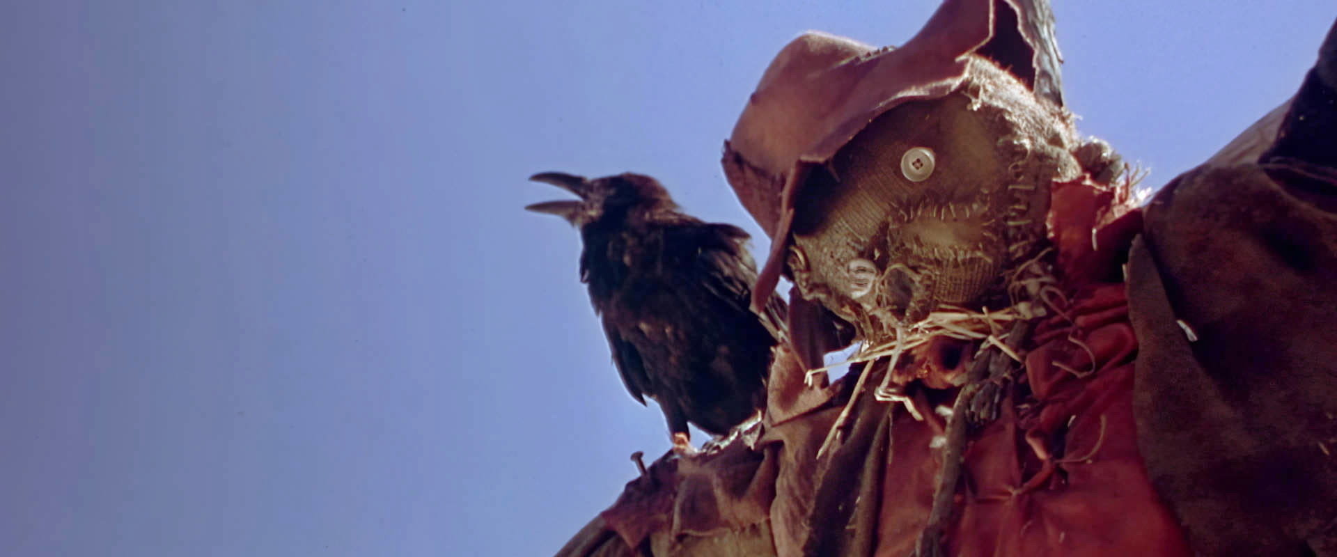 Night of the Scarecrow backdrop