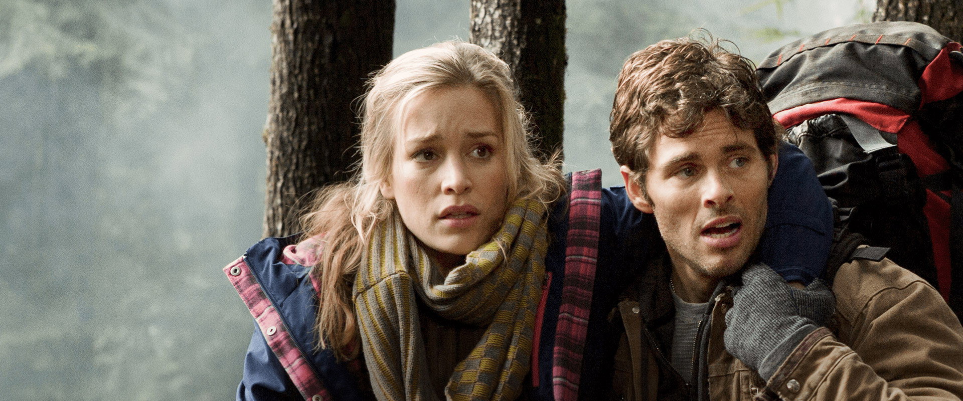 Into the Grizzly Maze backdrop