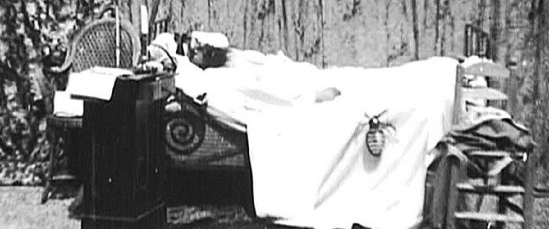 A Terrible Night backdrop