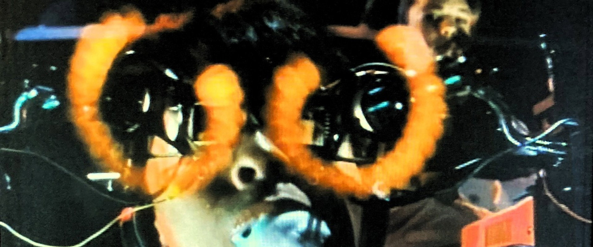 It's All Right, My Friend backdrop