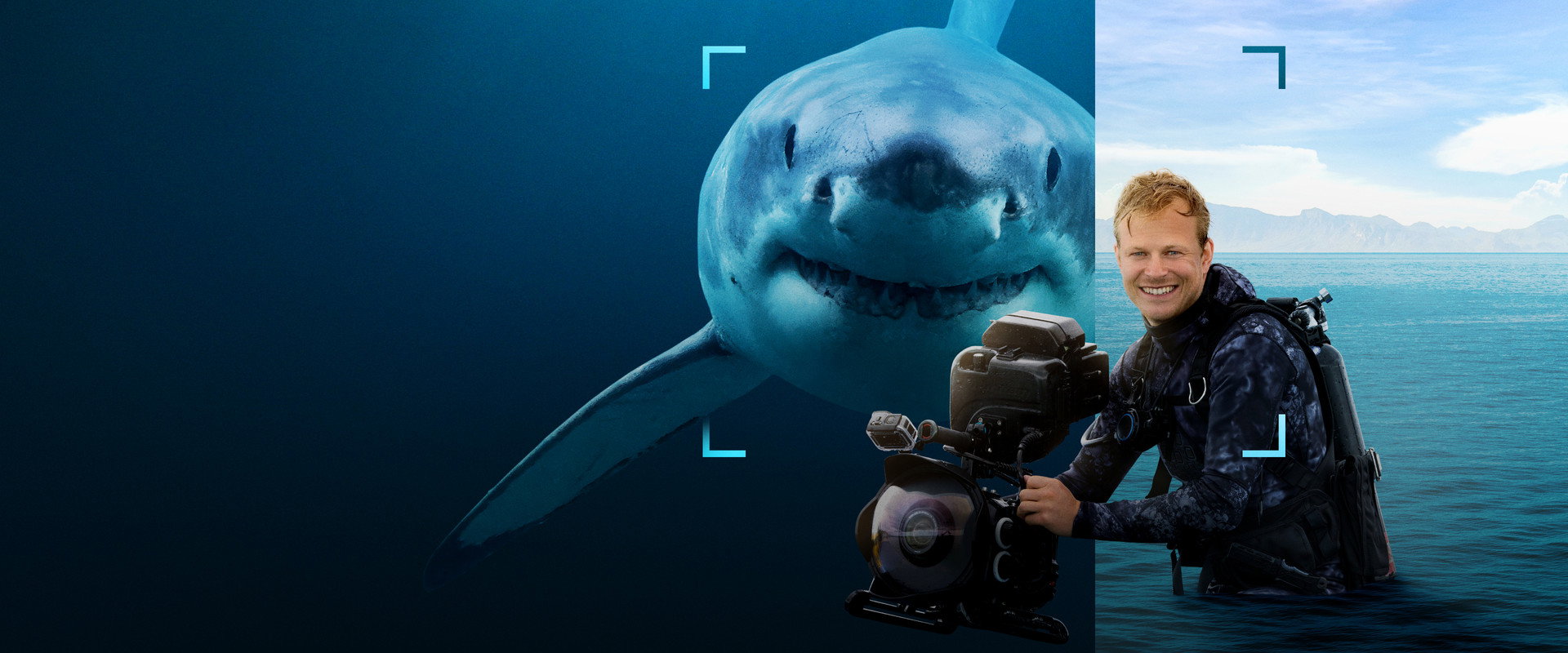Sharks Up Close with Bertie Gregory backdrop