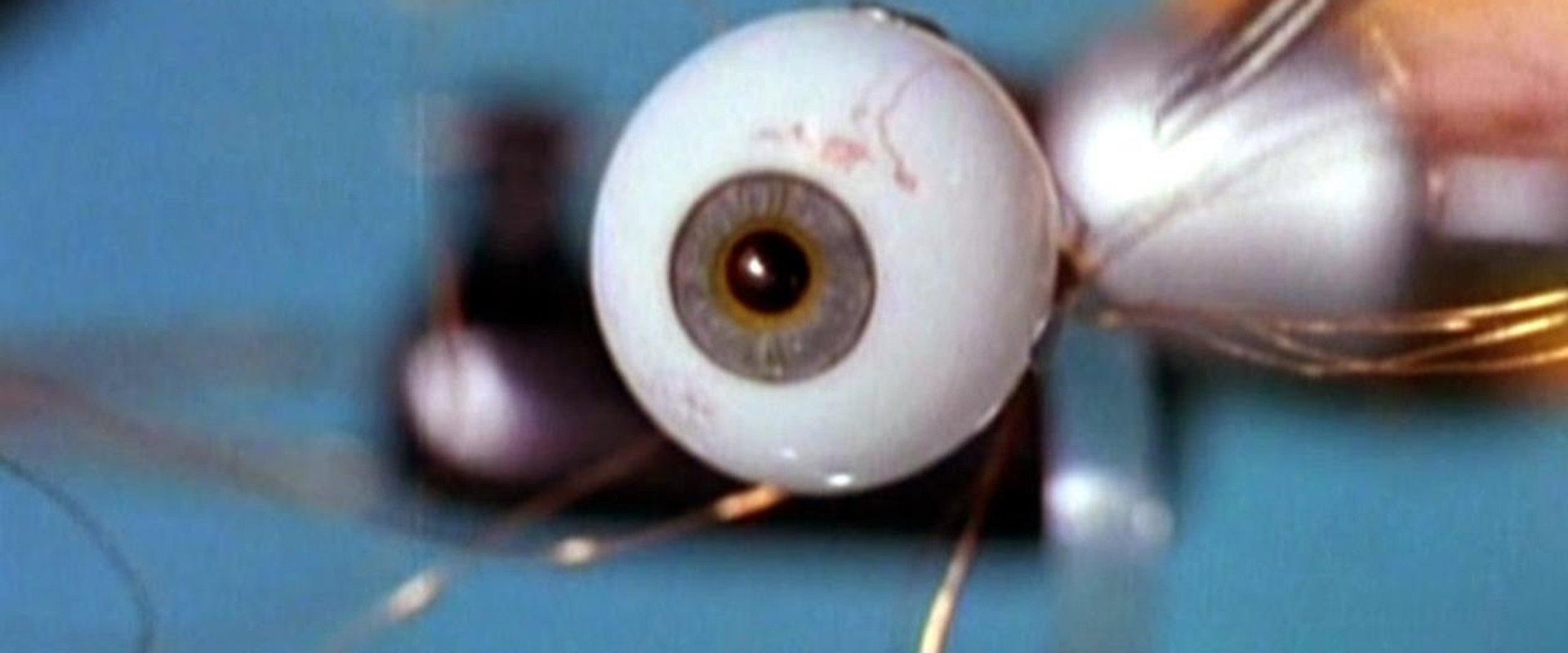 Spy in Your Eye backdrop