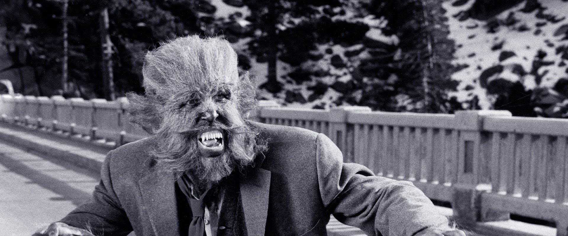 The Werewolf backdrop