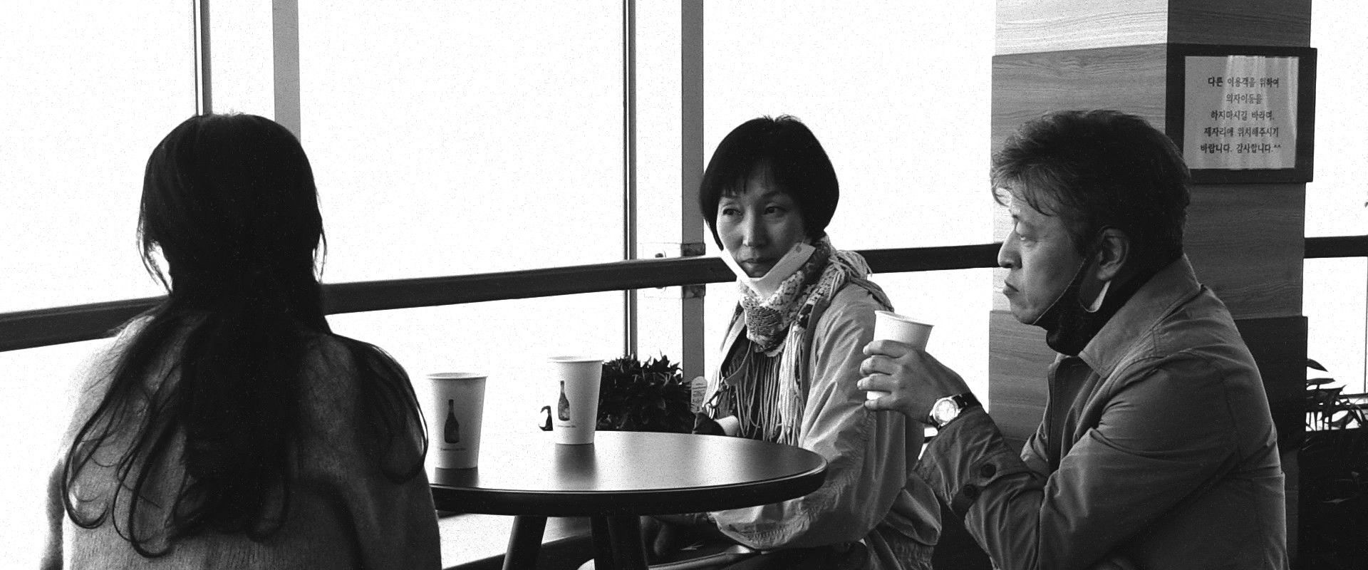 The Novelist's Film backdrop