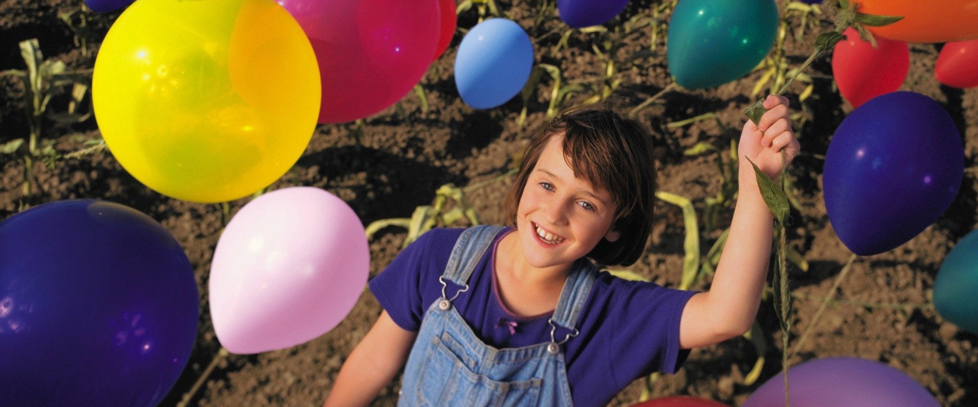 Balloon Farm backdrop