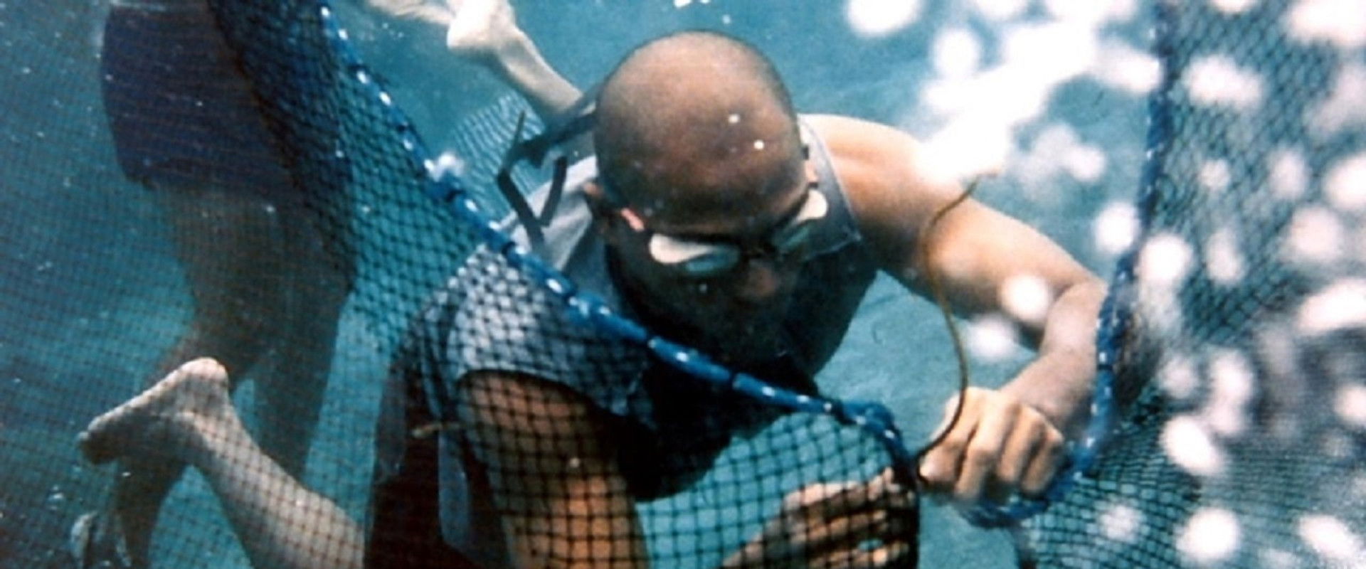 Reef Hunters backdrop