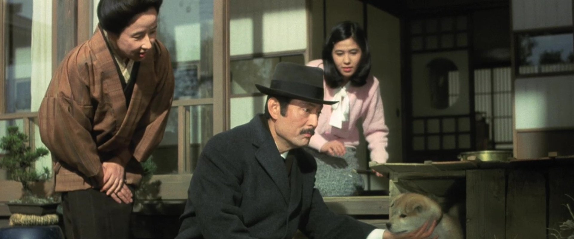 Hachiko backdrop