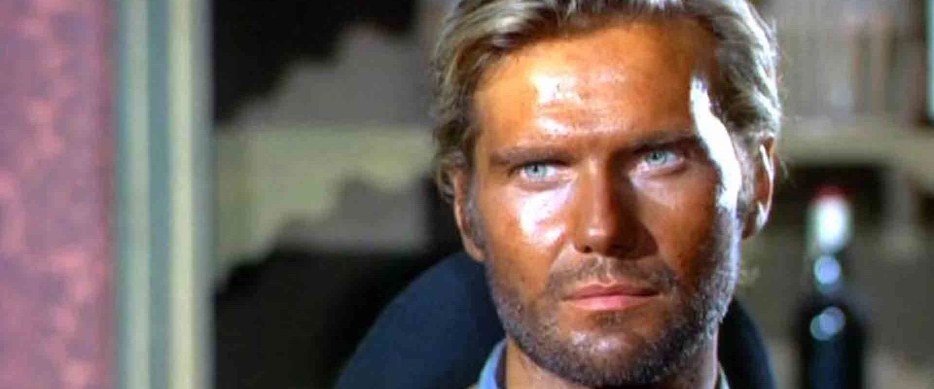 The Law of Violence backdrop