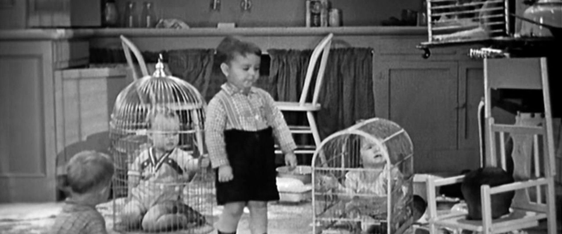 Forgotten Babies backdrop