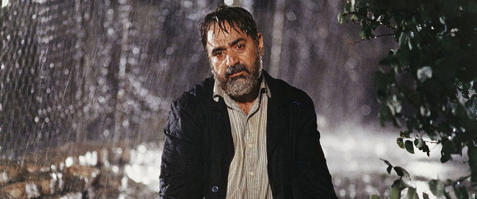 The Willow Tree backdrop