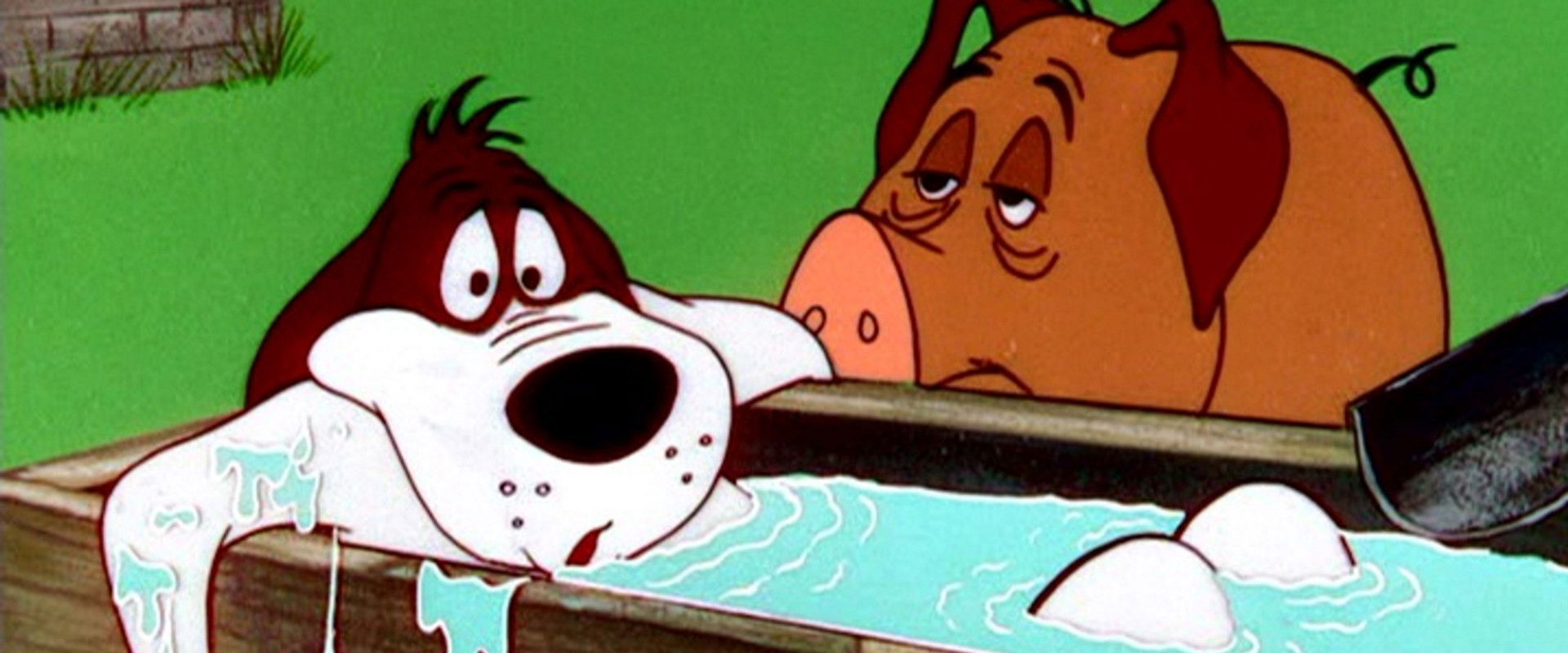 Gopher Broke backdrop