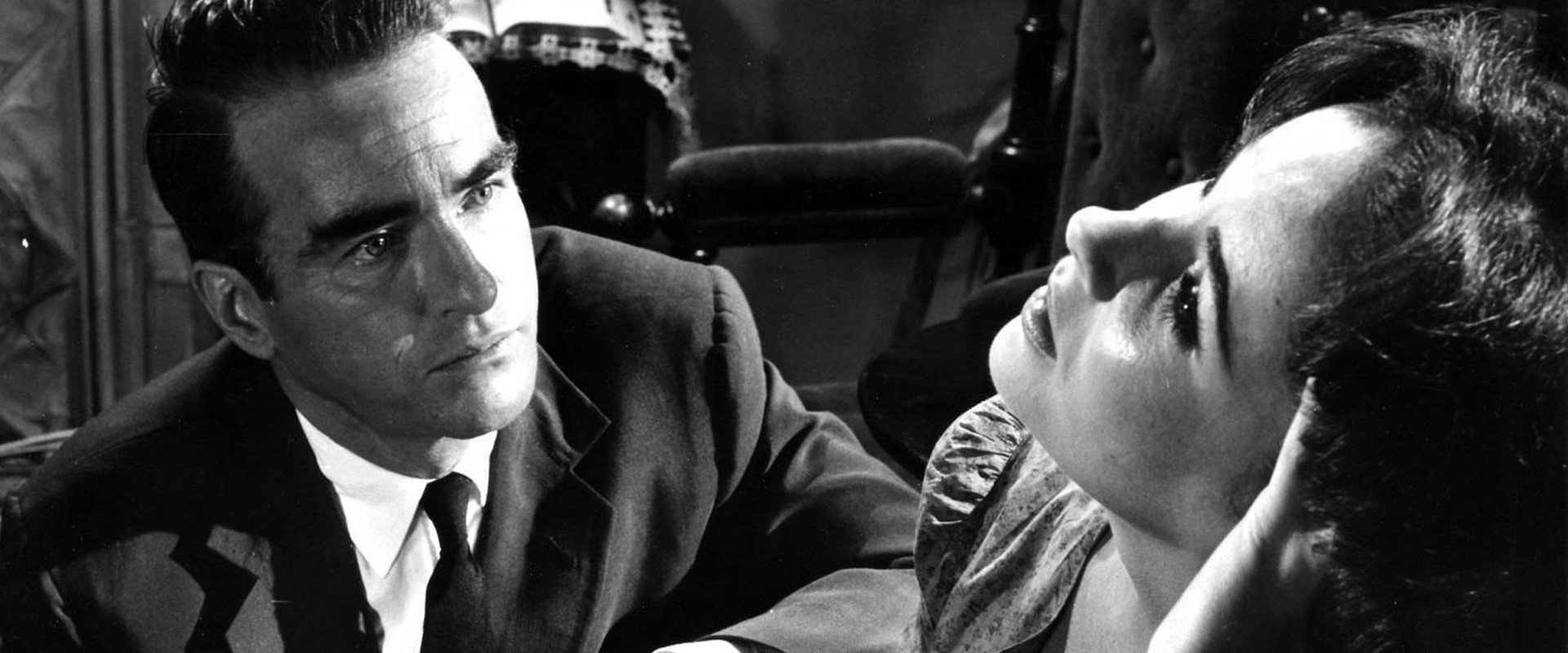 Suddenly, Last Summer backdrop