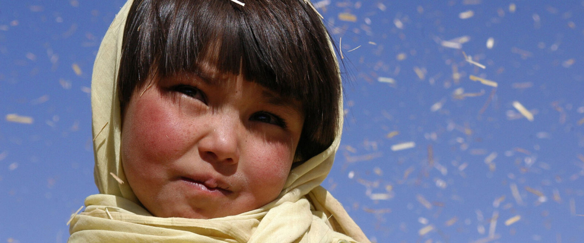 Buddha Collapsed Out of Shame backdrop