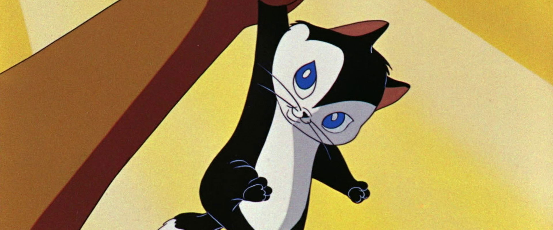 Kiss Me Cat backdrop