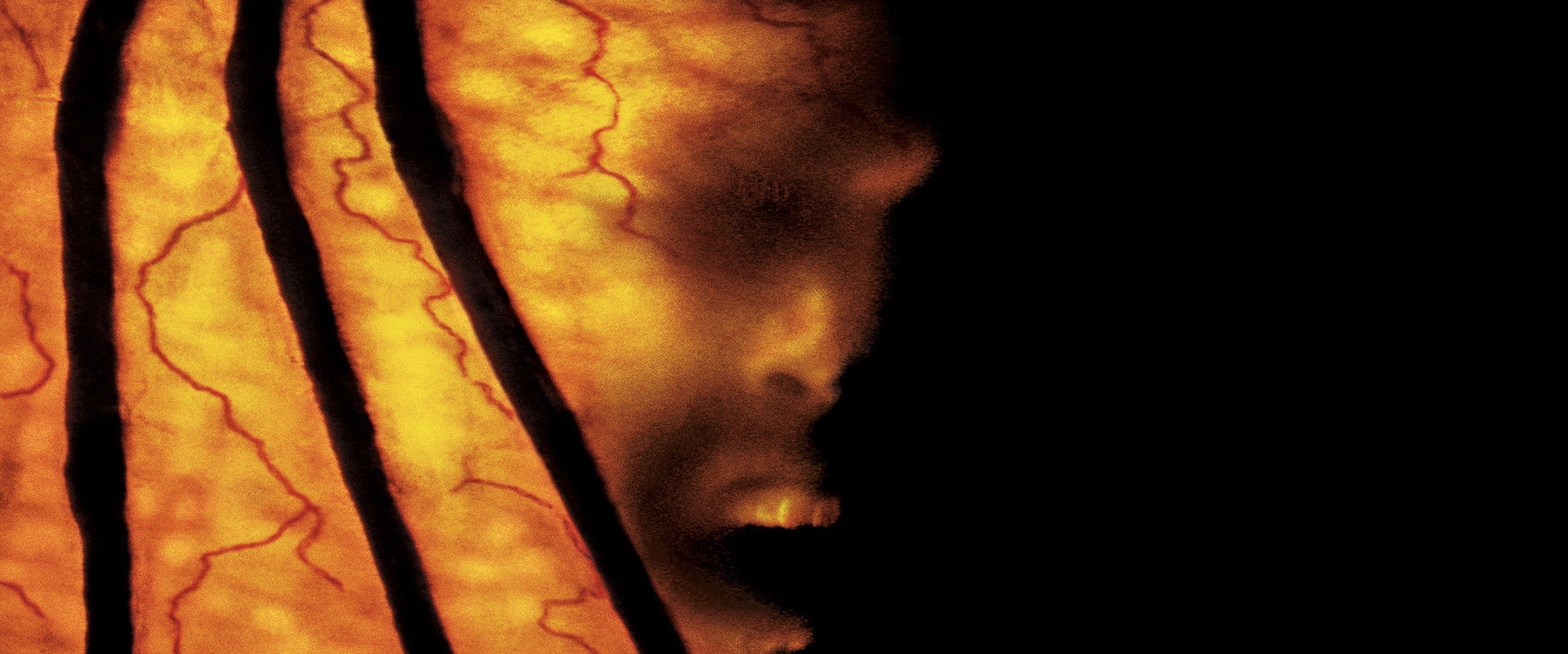 Jeepers Creepers 2 backdrop