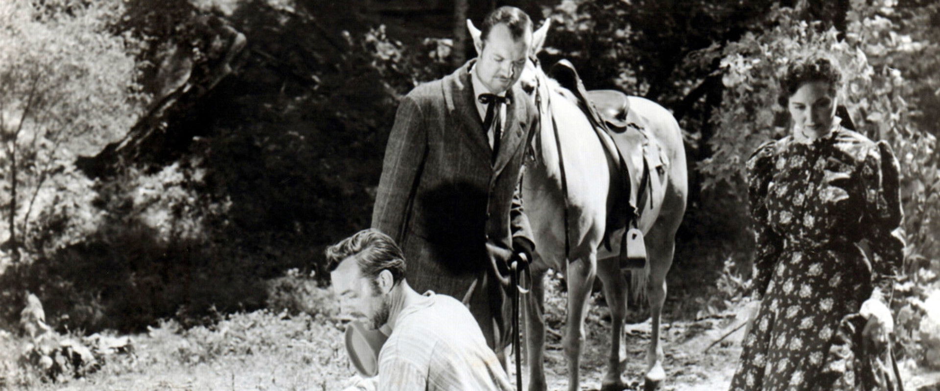 Natchez Trace backdrop
