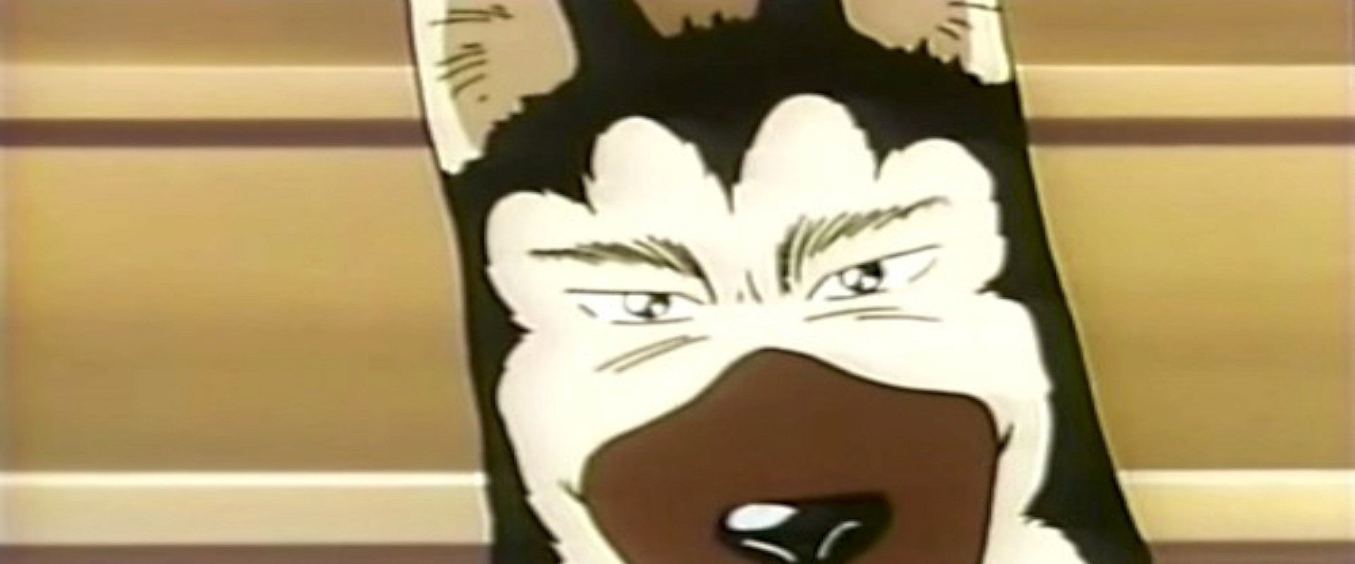 Kennel Tokorozawa backdrop