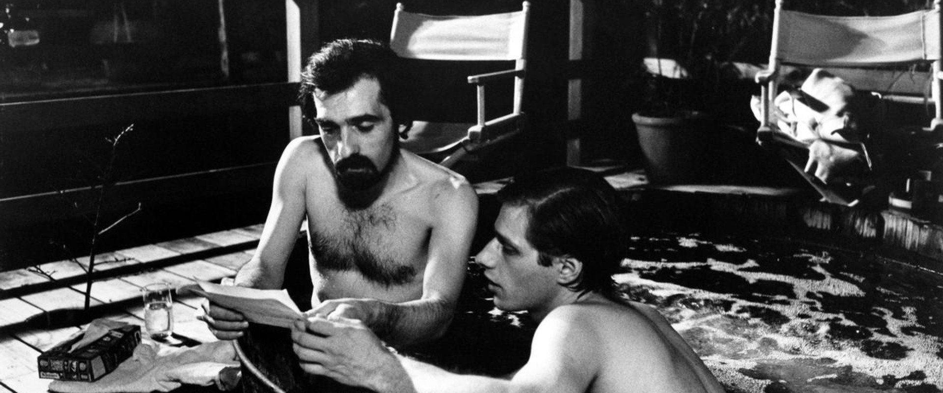 American Boy: A Profile of Steven Prince backdrop