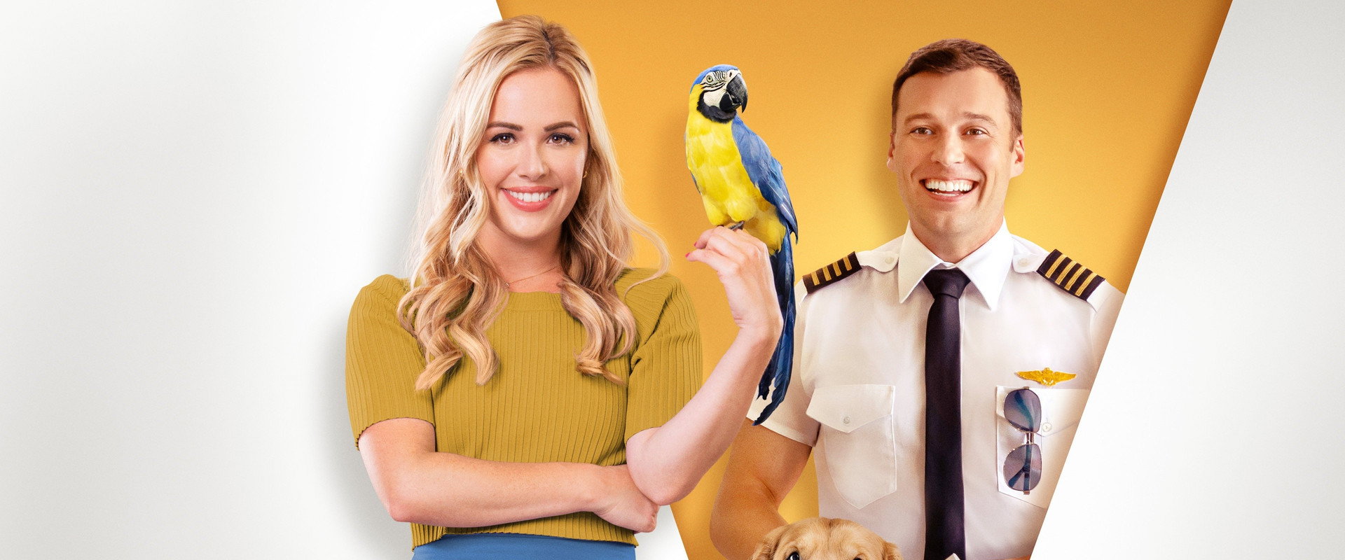 Fly Away With Me backdrop