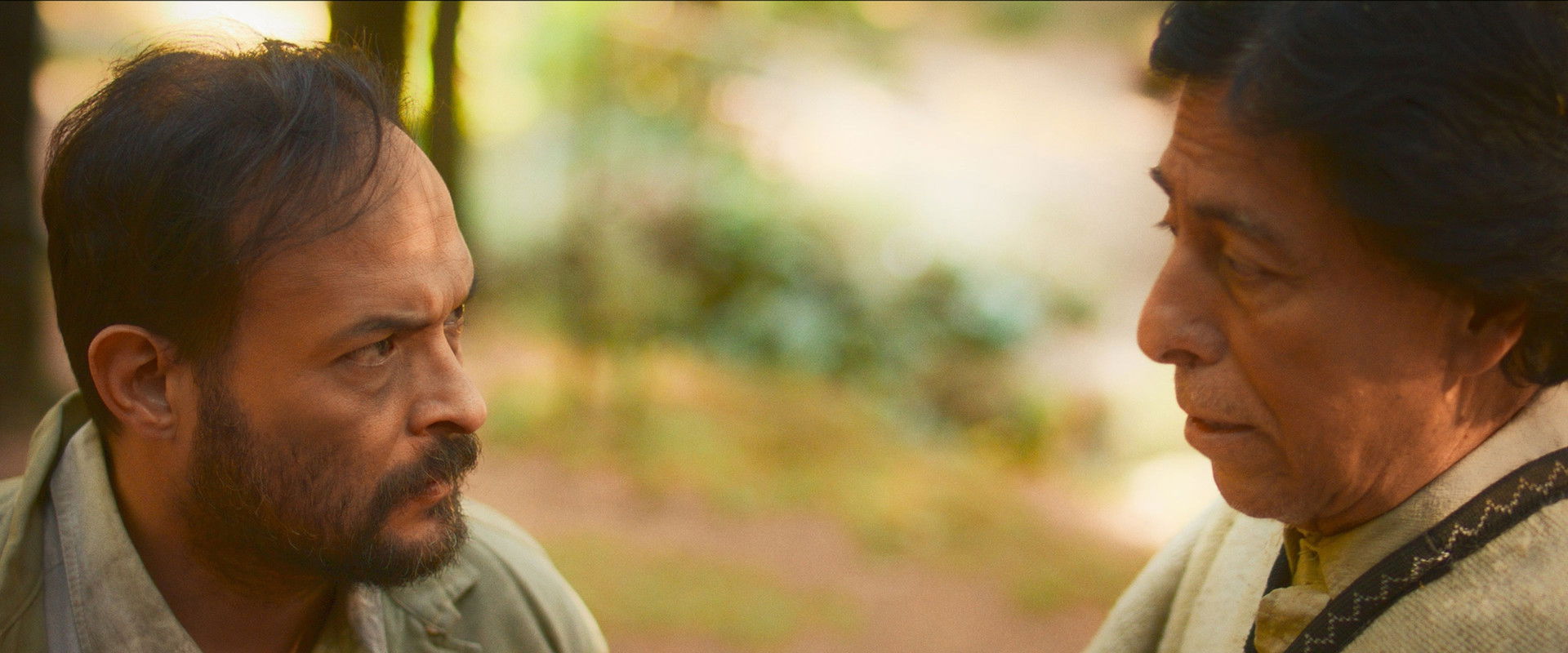 WHAT HIDES WHITIN THE SHADOWS backdrop