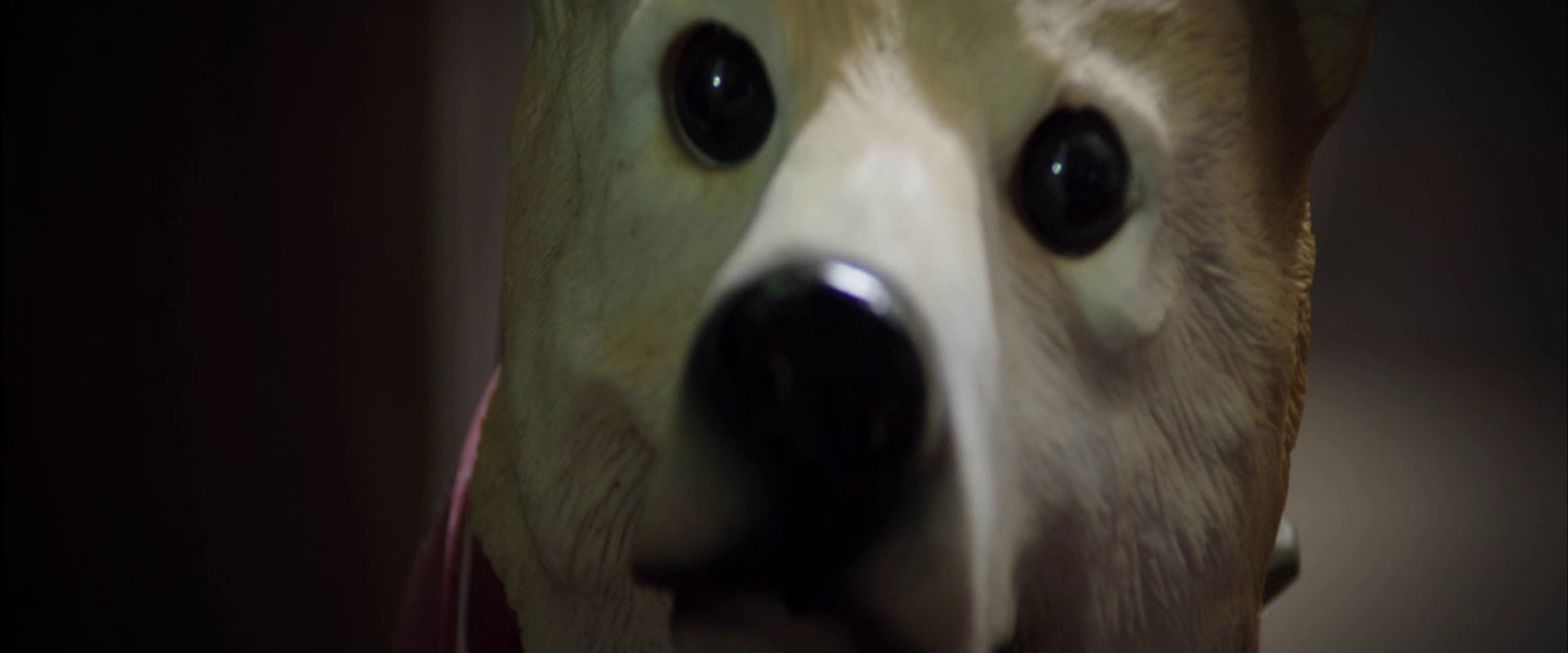 The Incredible Truth backdrop