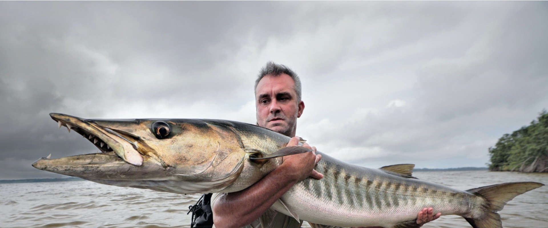 Chasing Monsters