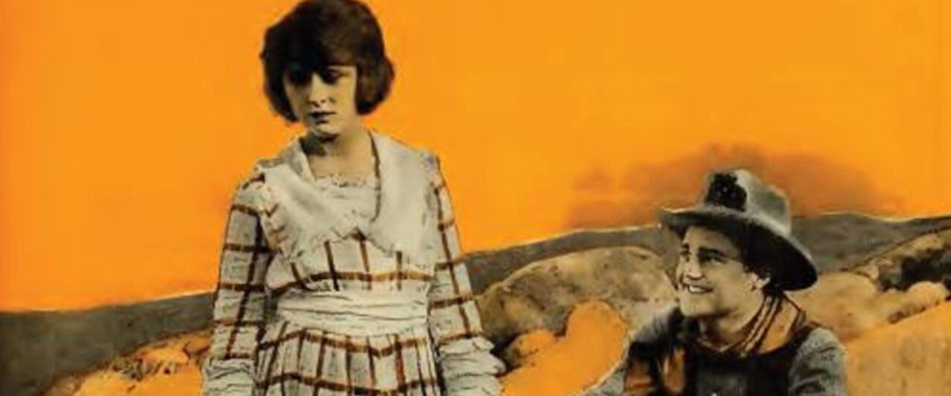 Desert Gold backdrop