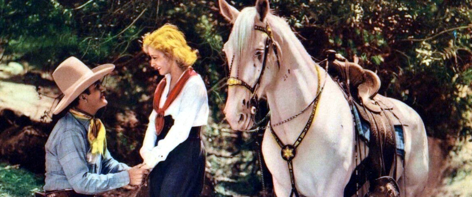 Lariats and Six-Shooters backdrop