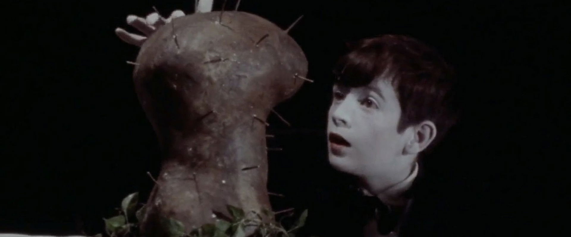 The Grandmother backdrop