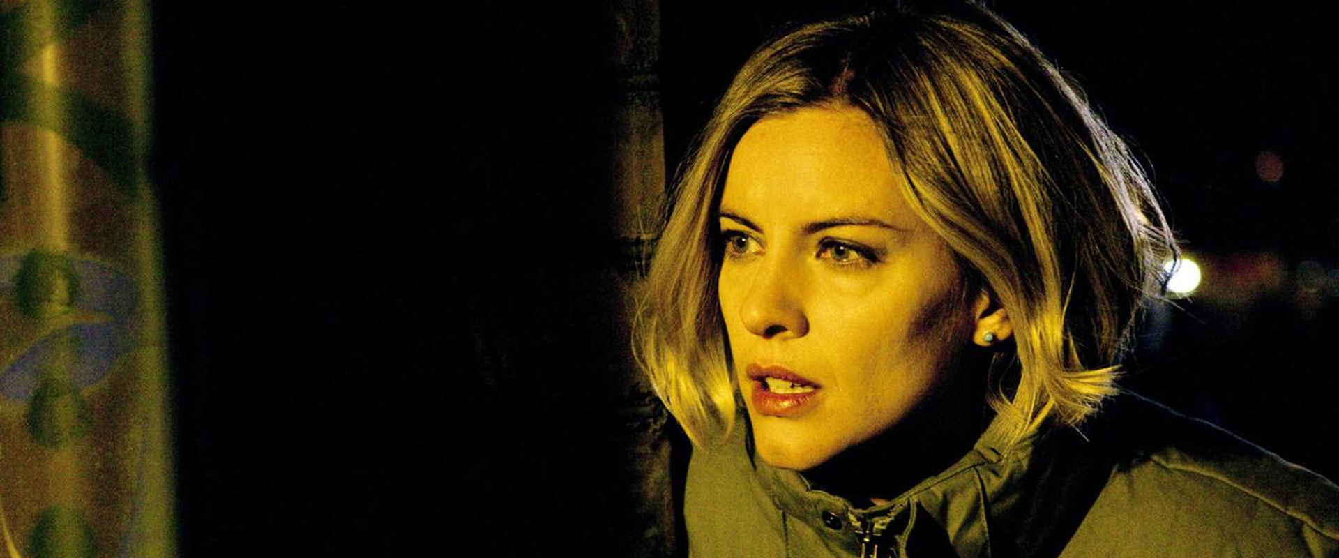 Annika Bengtzon: Crime Reporter - The Red Wolf backdrop