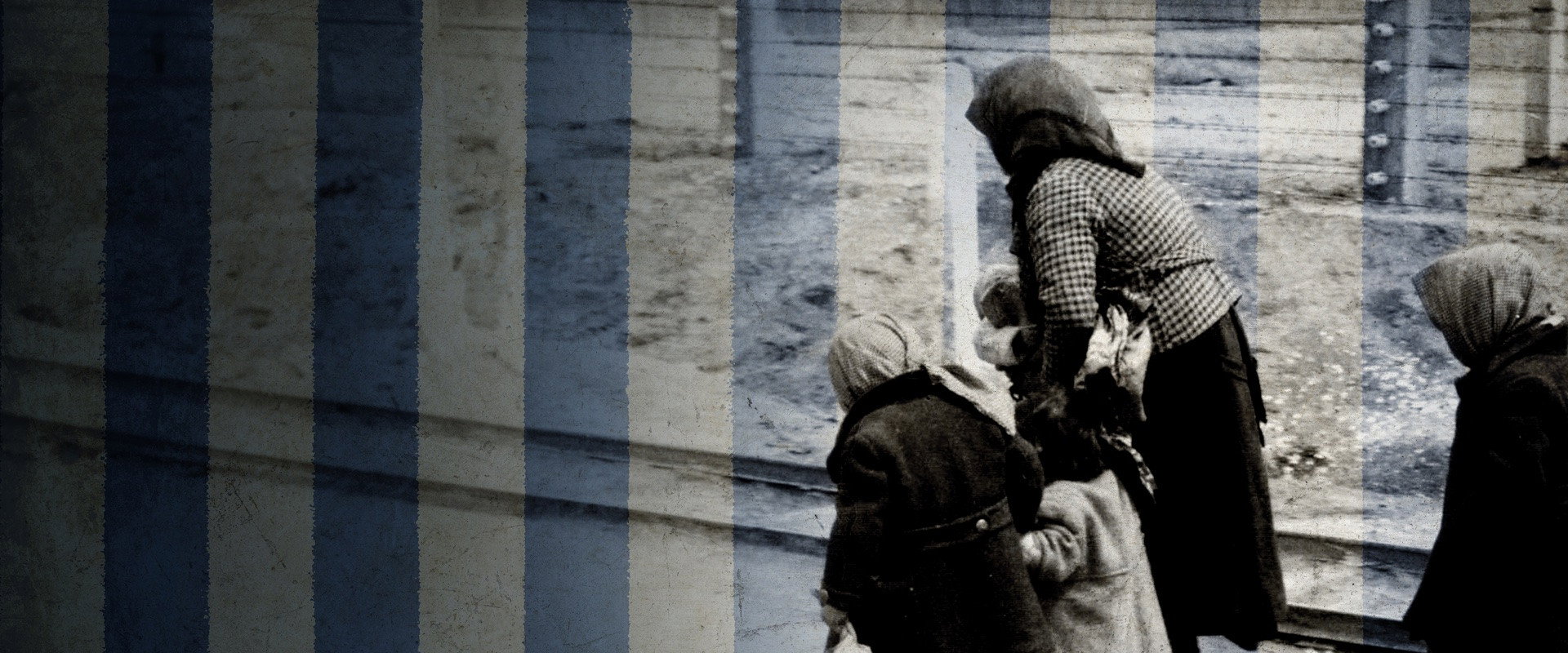 Auschwitz - One Day backdrop