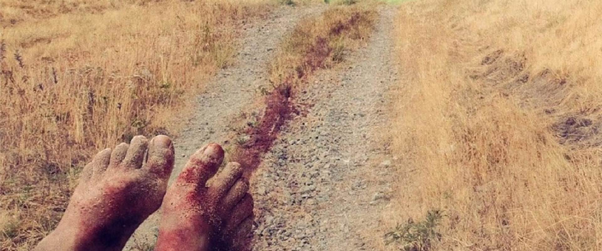 Killing Ground backdrop