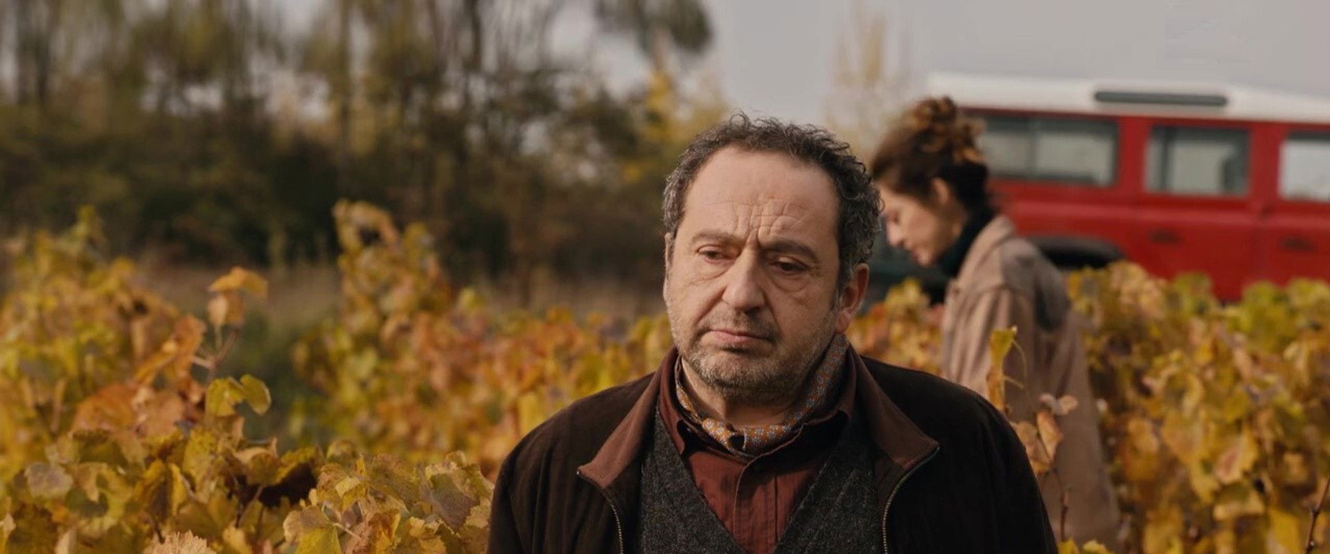 Intraitable backdrop