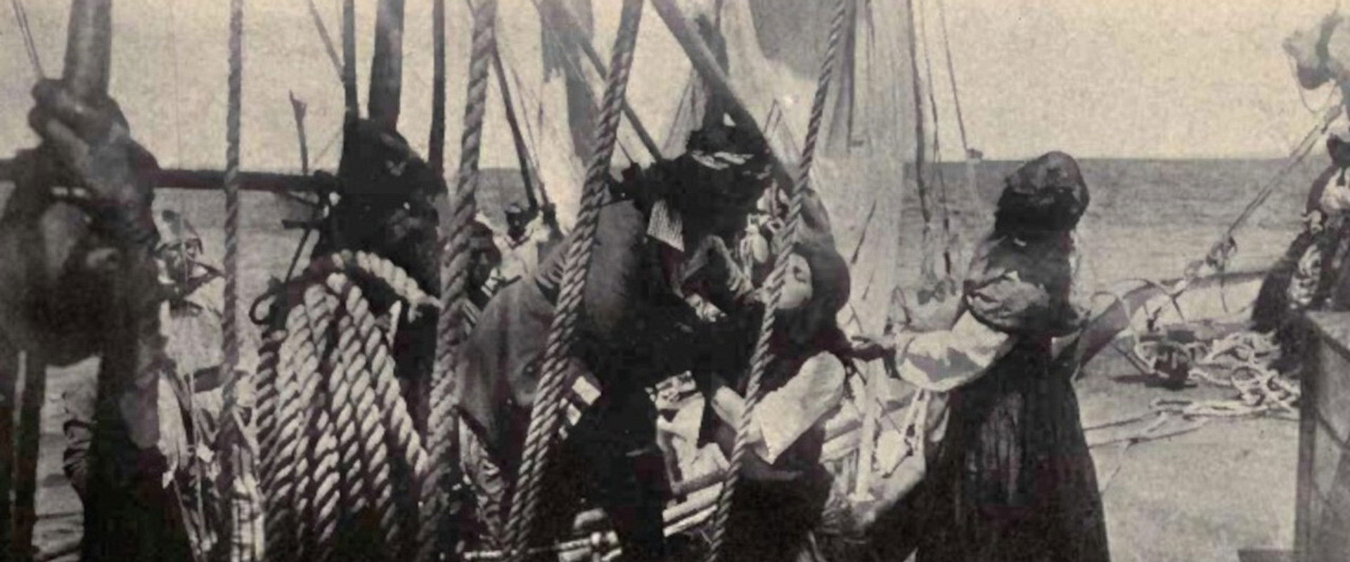 The Rose of Old St. Augustine backdrop