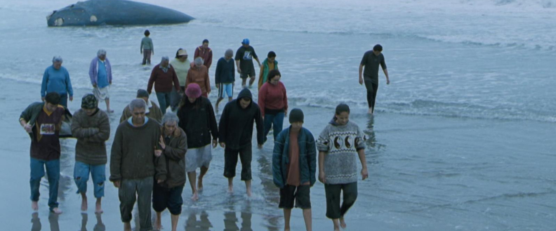 Whale Rider backdrop