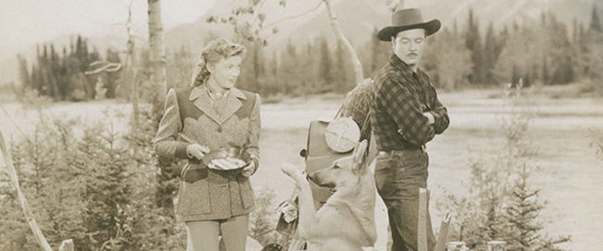 Northwest Stampede backdrop