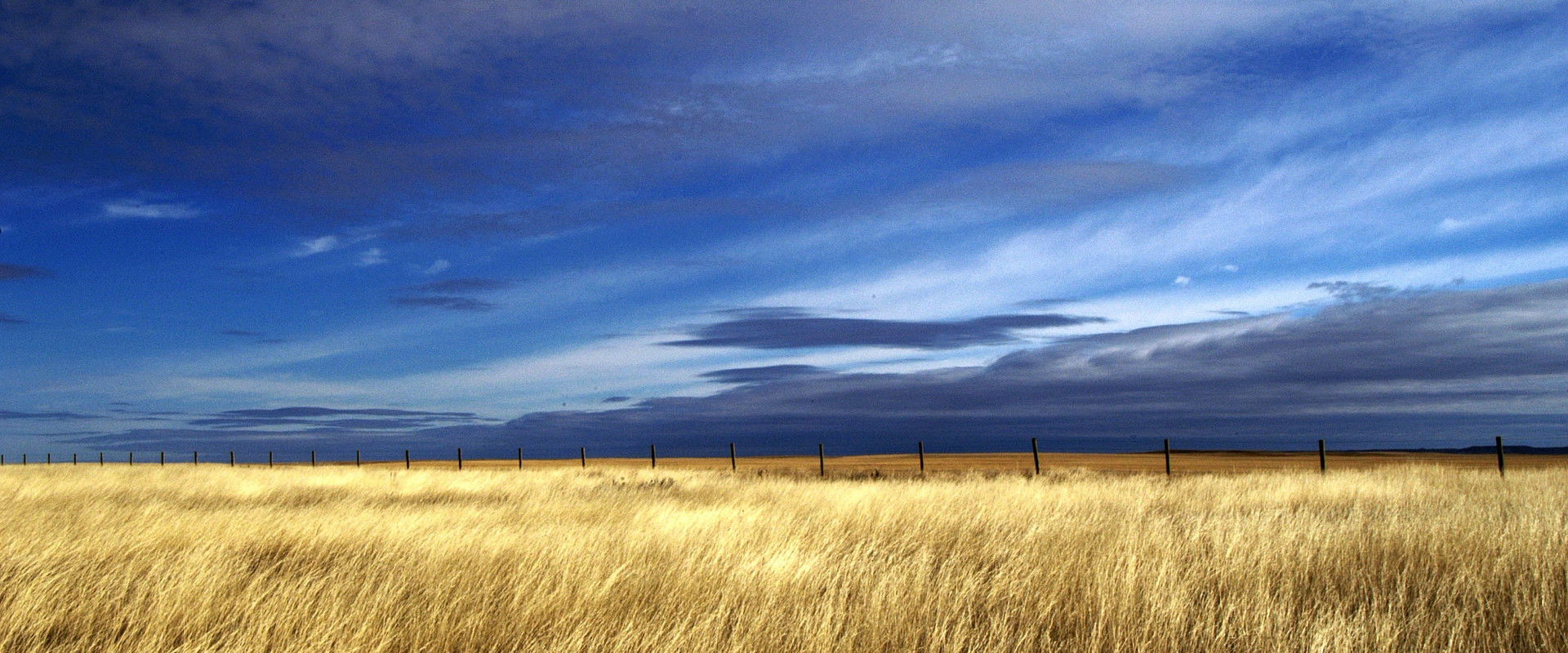 Sekoe: My Home backdrop