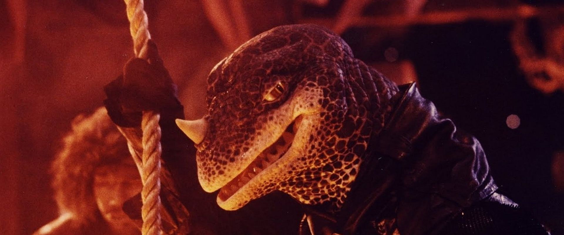 Adventures in Dinosaur City backdrop