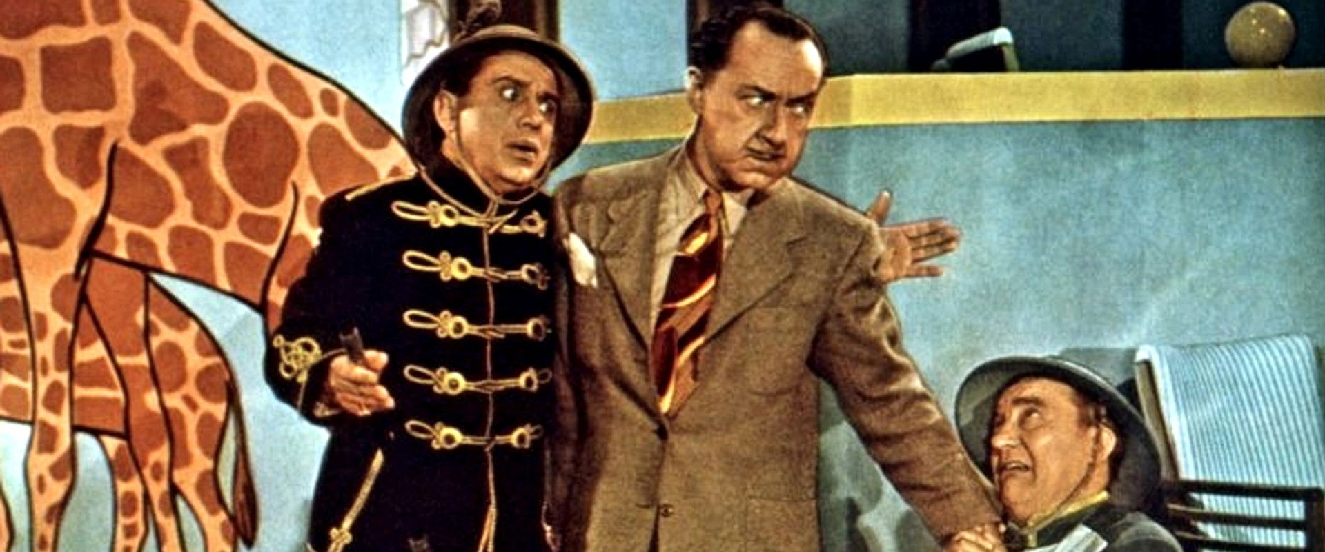 See My Lawyer backdrop