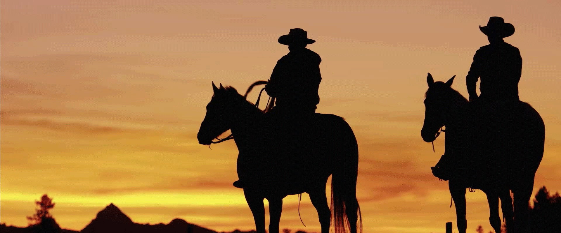 The Cowboy backdrop