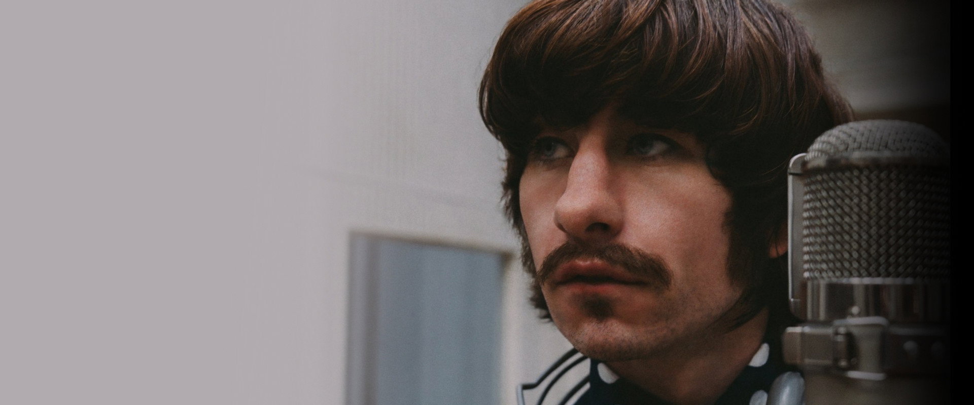 The Beatles: Ringo backdrop