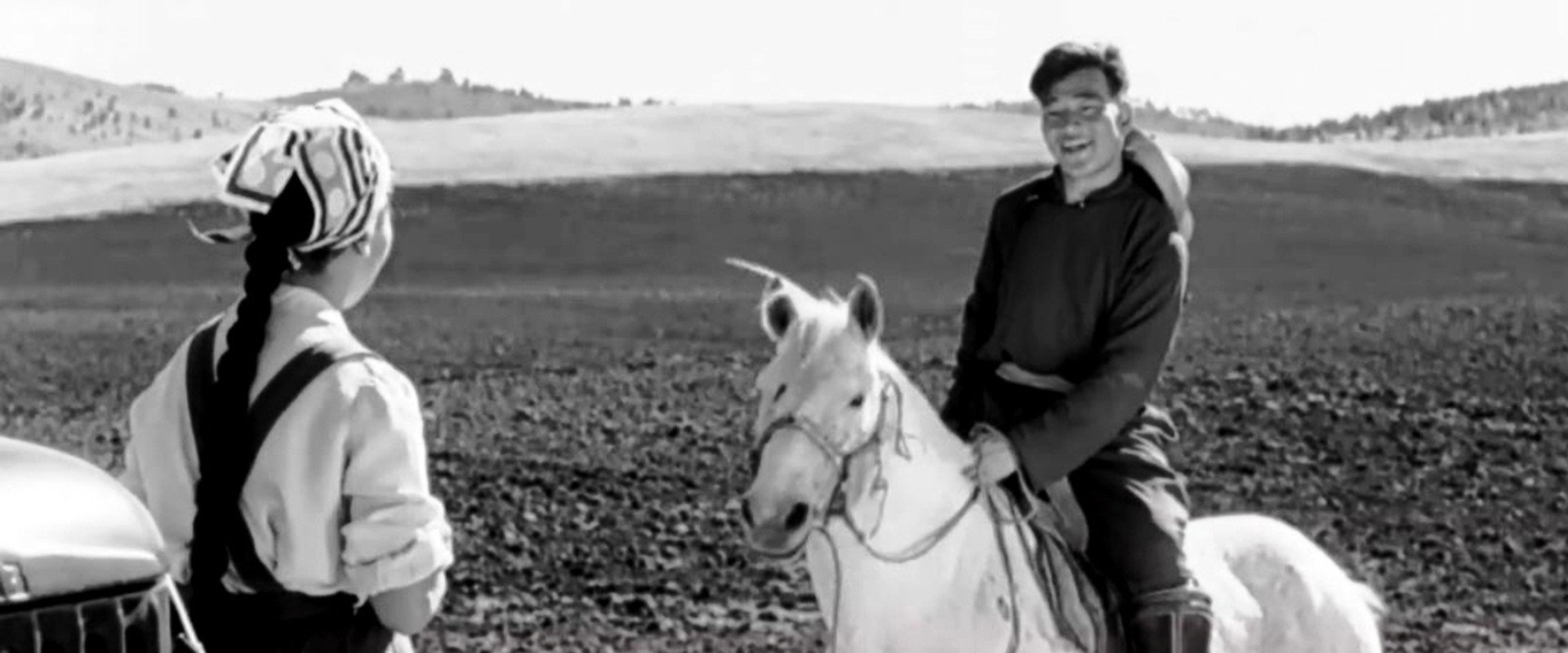 Wish I Had a Horse backdrop