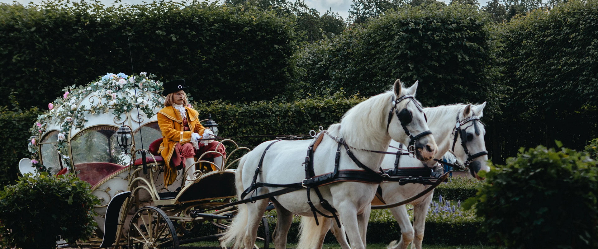 The Frog Princess 2 backdrop