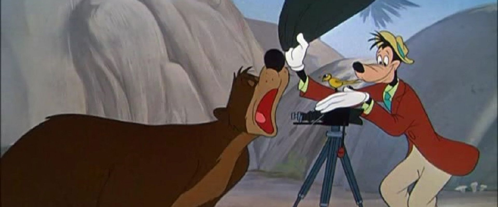 Hold That Pose backdrop