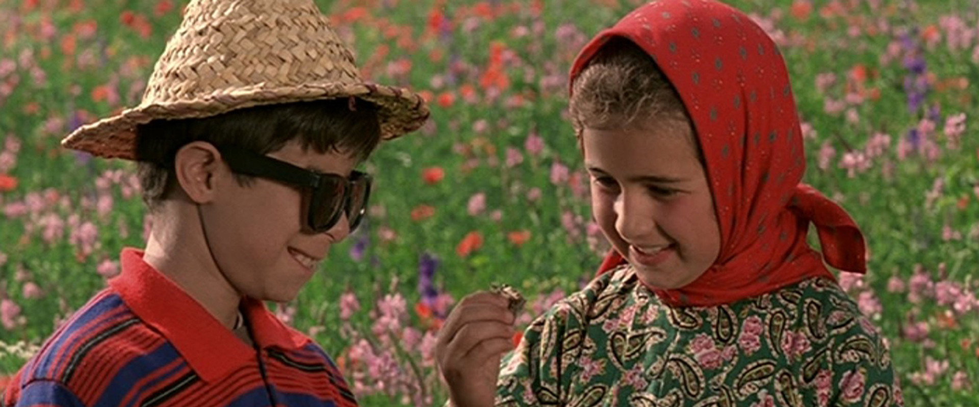 The Color of Paradise backdrop