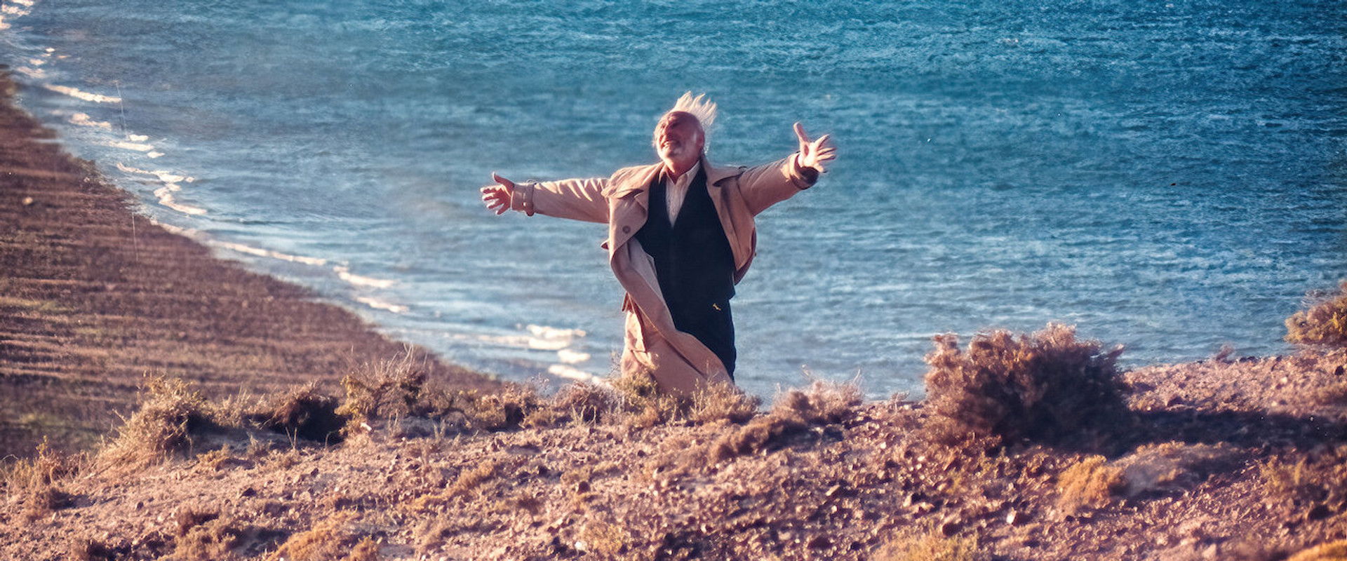 Wild Horses backdrop