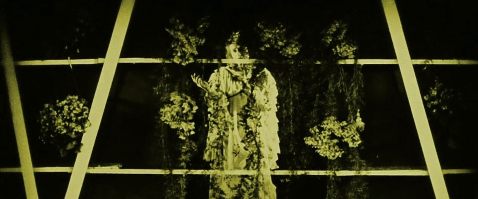 Miracle of Flowers backdrop